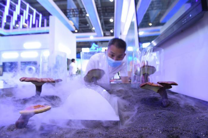 智慧农业展示.JPG 智慧农业展示.JPG